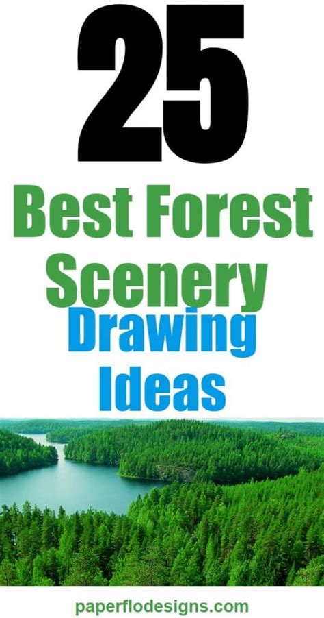 25 Best Forest Scenery Drawing Ideas .